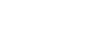 Scribble Data